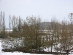 Resize of IMG_2287.jpg